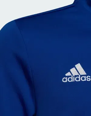 Adidas Sudadera entrenamiento Entrada 22