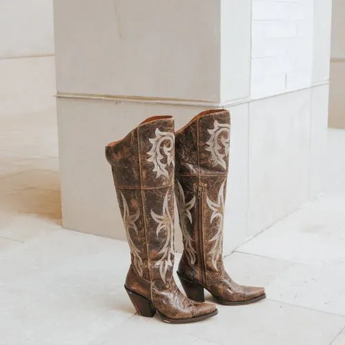 Dan Post Women's Jilted Snip Toe Leather Tall Boots - Brown