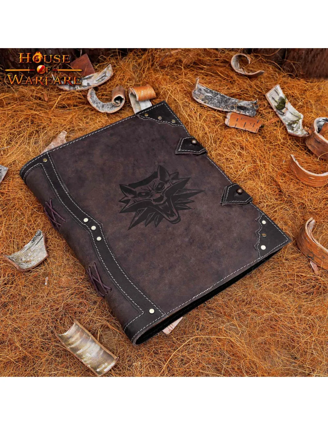 Diario de notas de Geralt de Rivia en The Witcher