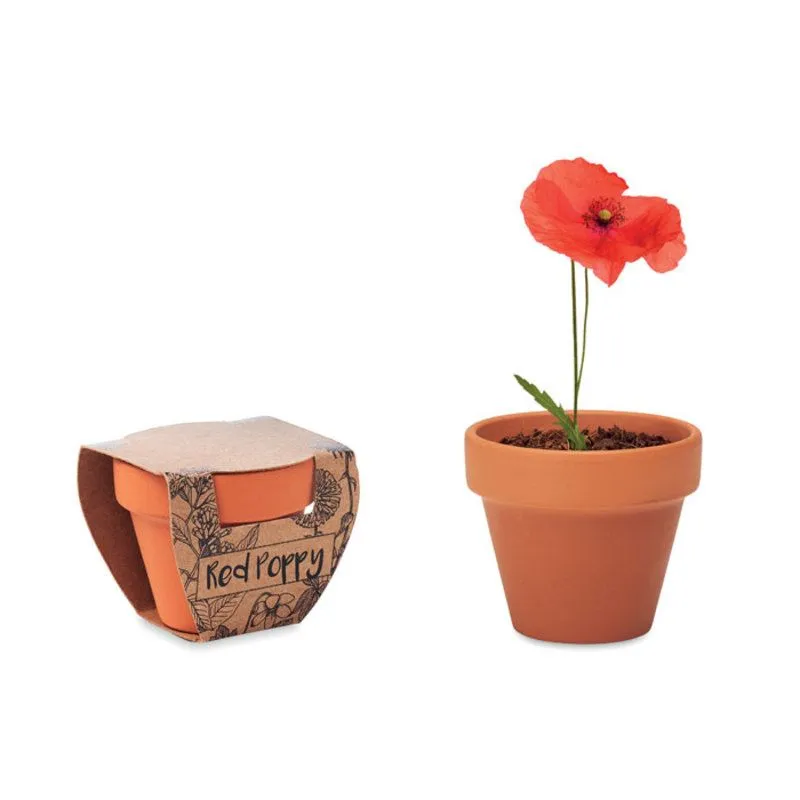 Maceta personalizada Red poppy