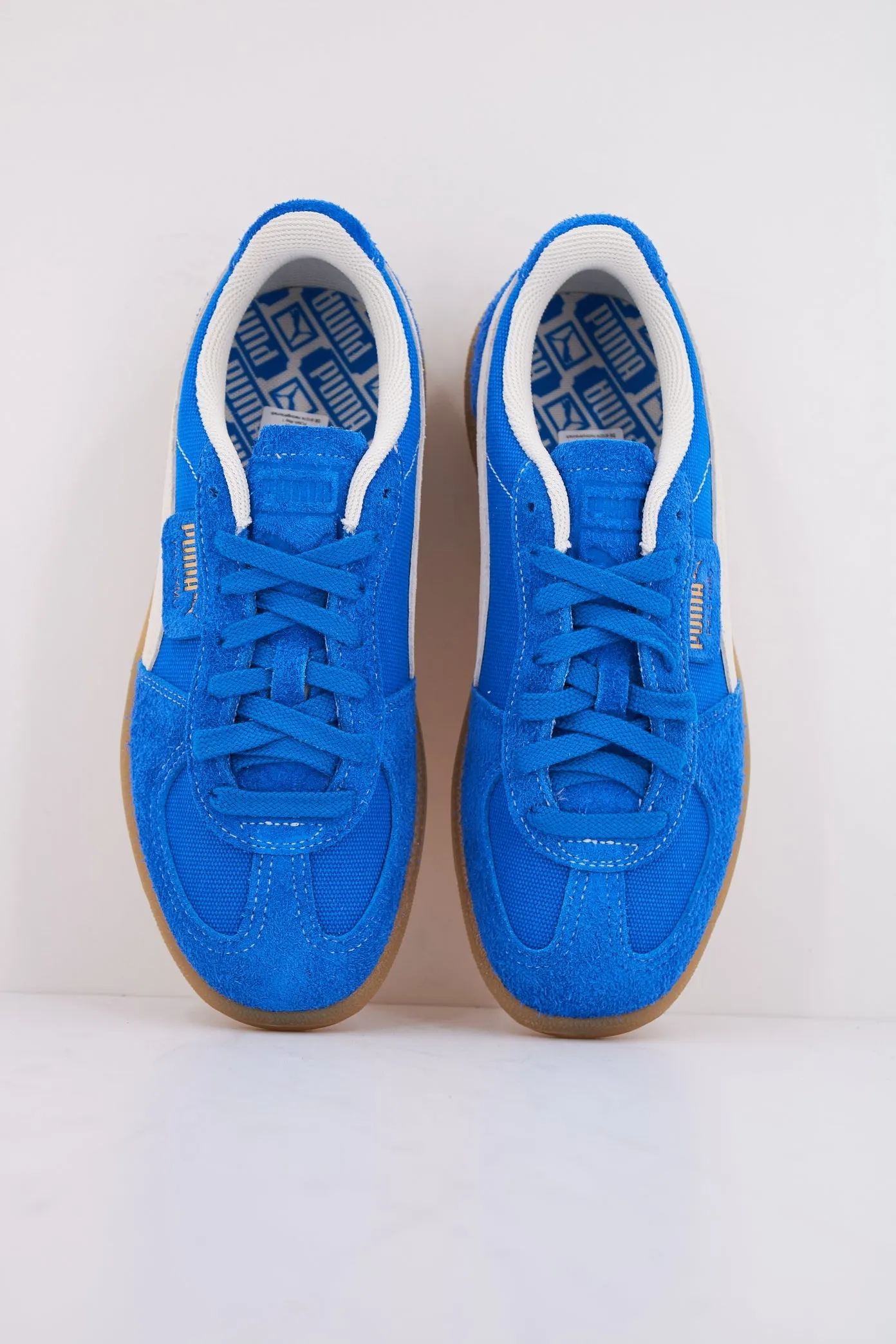 PUMA