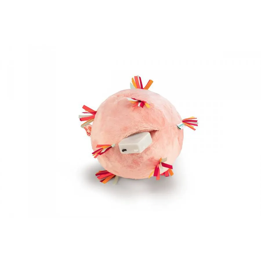 Stella pelota sensorial